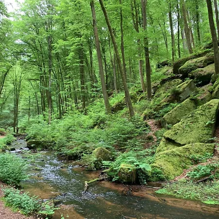 Apart-hotel Luxusapartment Burgschaenke 4*