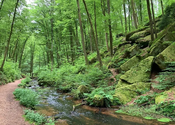 Lägenhetshotell Luxusapartment Burgschänke 4*