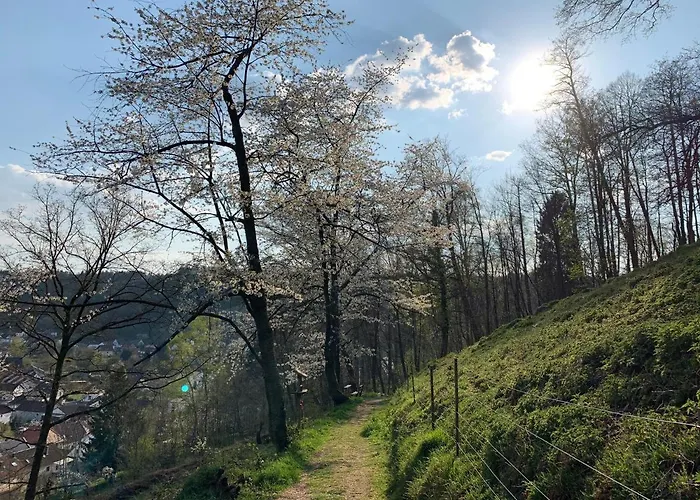 Luxusapartment Burgschänke 4* Kaiserslautern