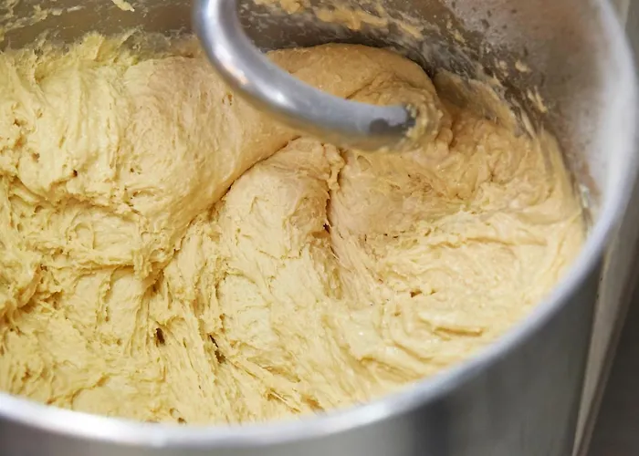 伯格禅科豪华公寓