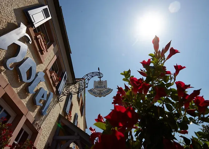 伯格禅科豪华公寓 公寓式酒店 凯撒斯劳滕